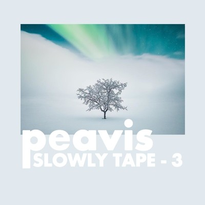 Slowly Tape 3/peavis
