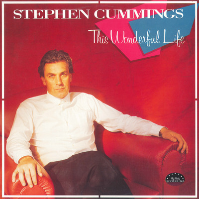 アルバム/This Wonderful Life/Stephen Cummings