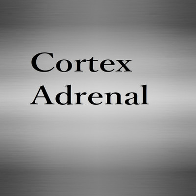アルバム/Cortex Adrenal/Beryllium Baker