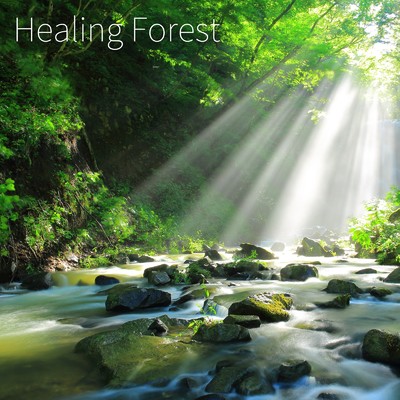アルバム/Healing Forest/ヒーリングピアノJAPAN