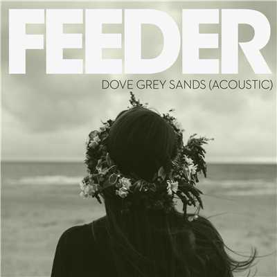 Dove Grey Sands (Acoustic Version)/Feeder