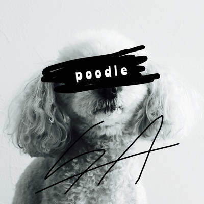 シングル/poodle(Sped Up)/velcamara