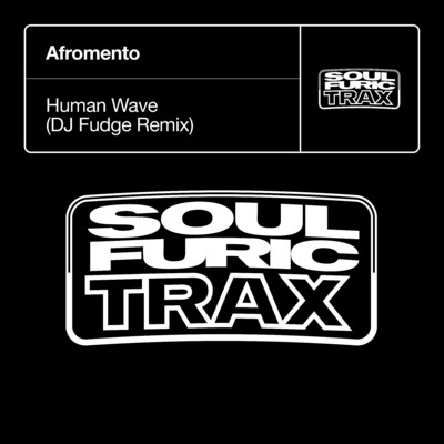 Human Wave (DJ Fudge Remix)/Afromento