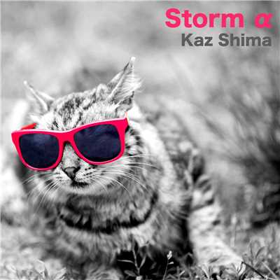 シングル/Stormα/Kaz Shima