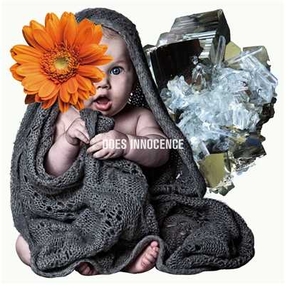 アルバム/INNOCENCE/DOES