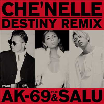Destiny (Remix) feat. AK-69 & SALU/Che'Nelle