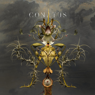 アルバム/Conatus/ユップ・ベヴィン