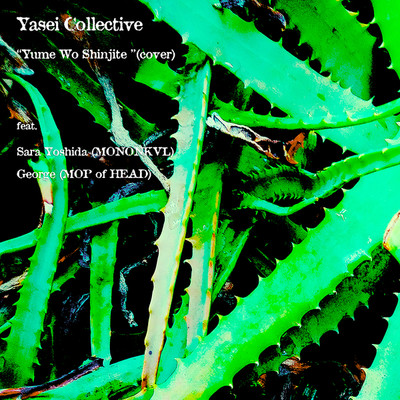シングル/Yume Wo Shinjite(feat. 吉田沙良(モノンクル), George(Mop of Head))/Yasei Collective
