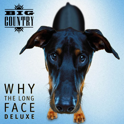 アルバム/Why the Long Face (Deluxe)/Big Country