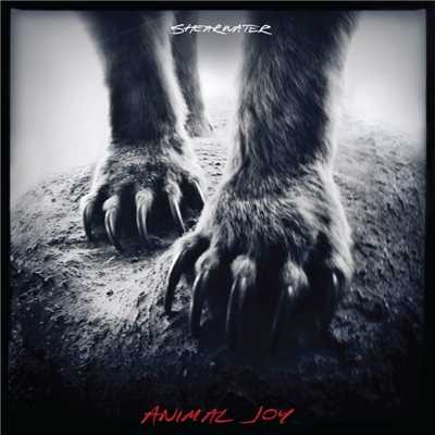 アルバム/Animal Joy/Shearwater
