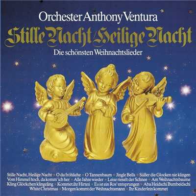 アルバム/Stille Nacht, Heilige Nacht/Orchester Anthony Ventura