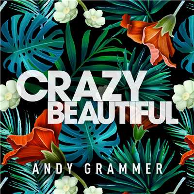 アルバム/Crazy Beautiful EP/Andy Grammer