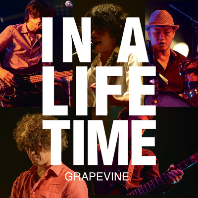 アルバム/Lifetime (Live at SHIBUYA AX 2014.05.19)/GRAPEVINE