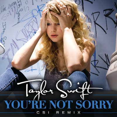 You're Not Sorry (CSI Remix)/Taylor Swift