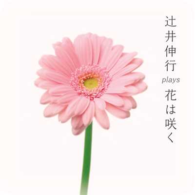 花は咲く ヴァイオリン&ピアノ/篠崎史紀 ／ 辻井伸行