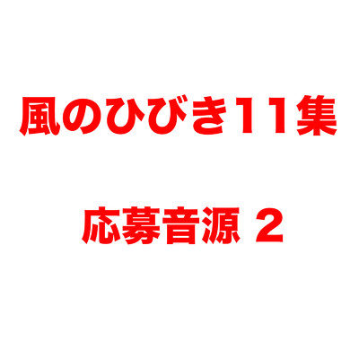 アルバム/風のひびき11集 応募音源2/荒地に川ミュージック