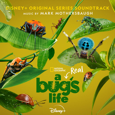 アルバム/A Real Bug's Life (Original Series Soundtrack)/MARK MOTHERSBAUGH