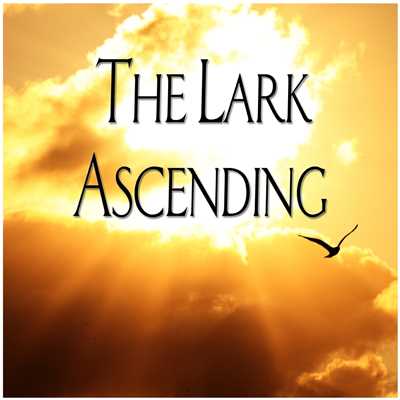 アルバム/The Lark Ascending/アンドリュー・デイヴィス