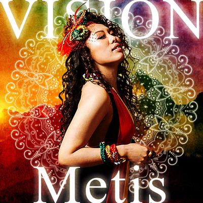 VISION/Metis