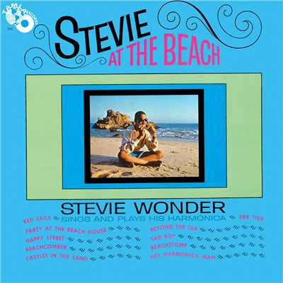 Stevie At The Beach/スティーヴィー・ワンダー