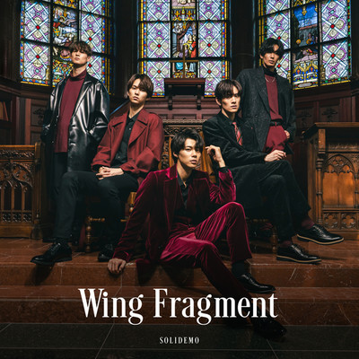 シングル/Wing Fragment/SOLIDEMO