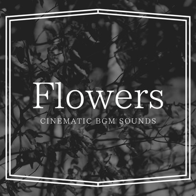 Stranger/Cinematic BGM Sounds