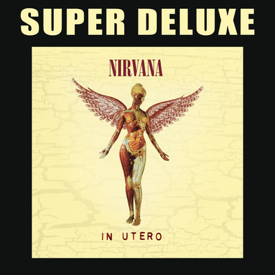 セントレス・アプレンティス/Nirvana