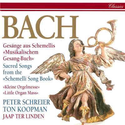 J.S. Bach: Wo ist mein Schaflein, BWV 507/ペーター・シュライアー／トン・コープマン／ヤープ・テル・リンデン