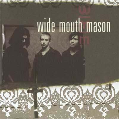 アルバム/Wide Mouth Mason/Wide Mouth Mason