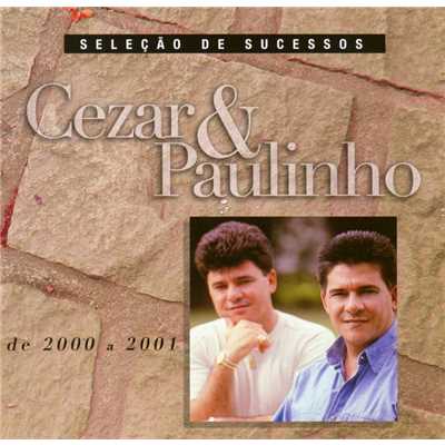 アルバム/Selecao de Sucessos - 2000／2001/Cezar & Paulinho