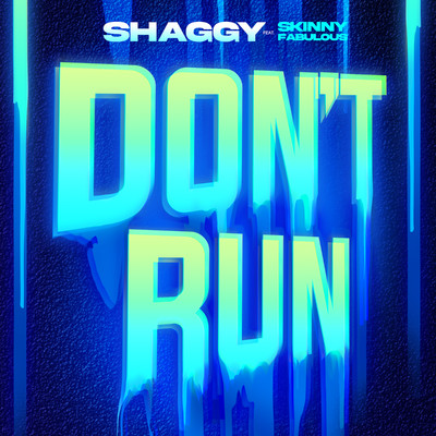シングル/Don't Run (feat. Skinny Fabulous)/シャギー