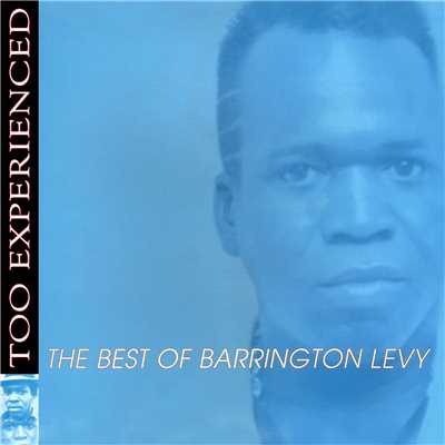 アルバム/Too Experienced - The Best of Barrington Levy/BARRINGTON LEVY