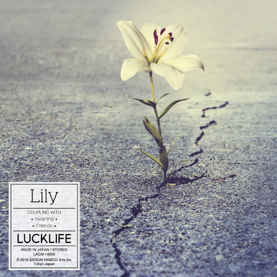 アルバム/Lily/ラックライフ