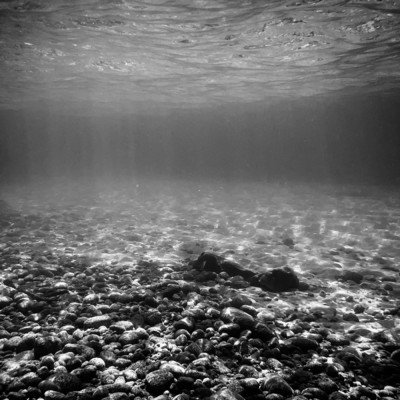 Undersea/Francesco Nigri