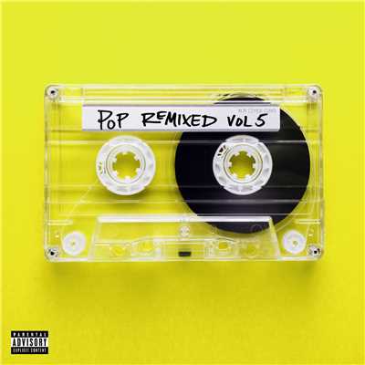 Pop Remixed Vol. 5/Various Artists
