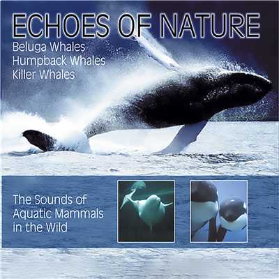 アルバム/Echoes of Nature: Walgesange/Delta Music