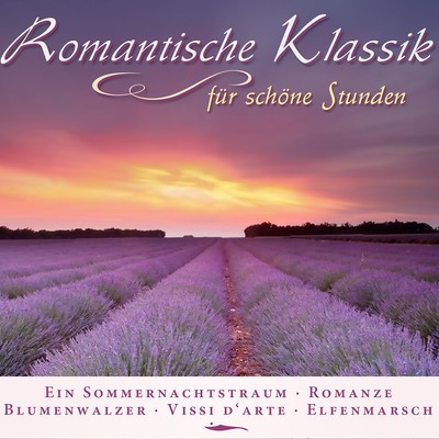 Romantische Klassik fur schone Stunden/Various Artists