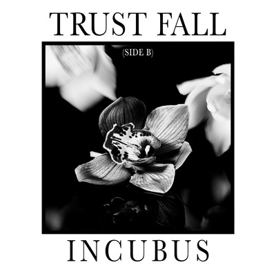 アルバム/Trust Fall (Side B)/Incubus