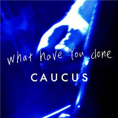 シングル/What Have You Done/CAUCUS