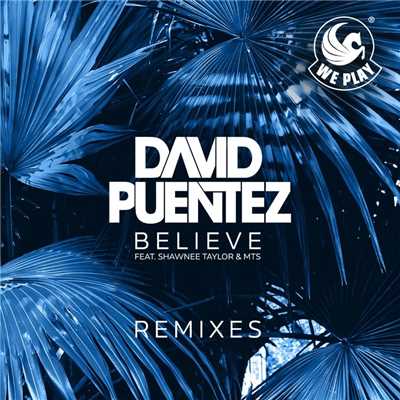 アルバム/Believe (feat. Shawnee Taylor & MTS) [Remixes]/David Puentez