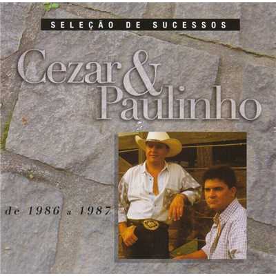 アルバム/Selecao de Sucessos - 1986 ／ 1987/Cezar & Paulinho