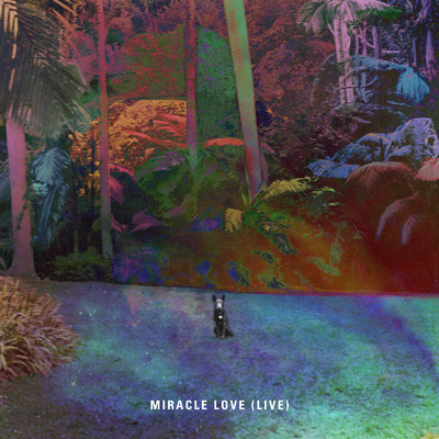 シングル/Miracle Love (Live)/Matt Corby