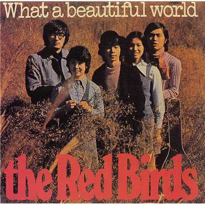 アルバム/WHAT A BEAUTIFUL WORLD/赤い鳥
