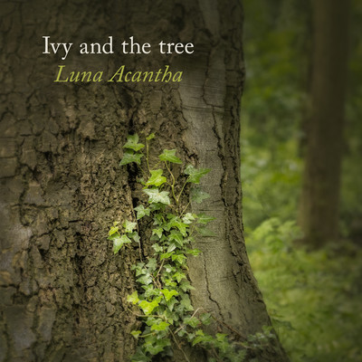 Ivy and the tree/Luna Acantha