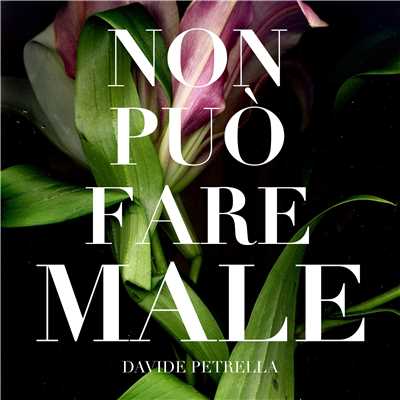 シングル/Non puo fare male (Single version)/Davide Petrella