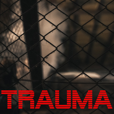 Trauma (feat. Korrekt & Mr. Wrong)/Volutzvibe