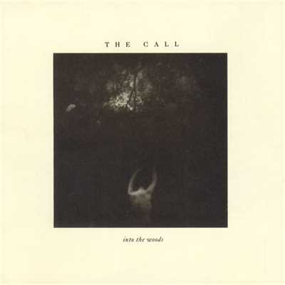 アルバム/Into the Woods/The Call