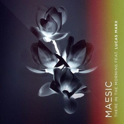 シングル/There In The Morning (featuring Lucas Marx)/Maesic