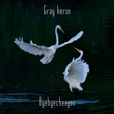 Gray heron/Byebyecheeyon