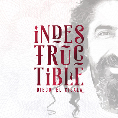 アルバム/Indestructible/Diego El Cigala